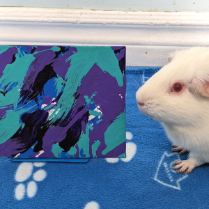 Ready to Ship Paintings