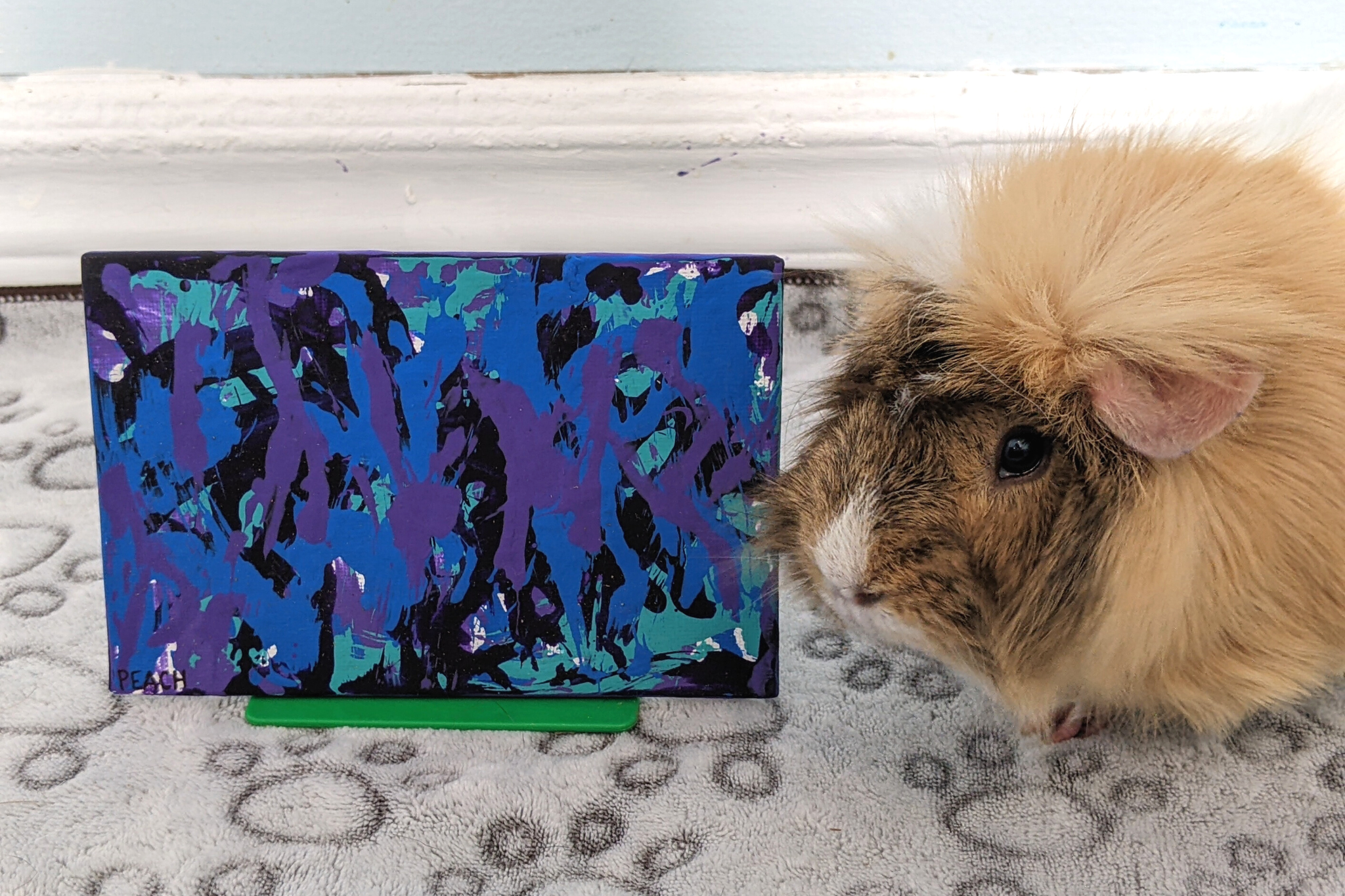 Ready to Ship 4x6 Galaxy Guinea Pig Painting by Peach
