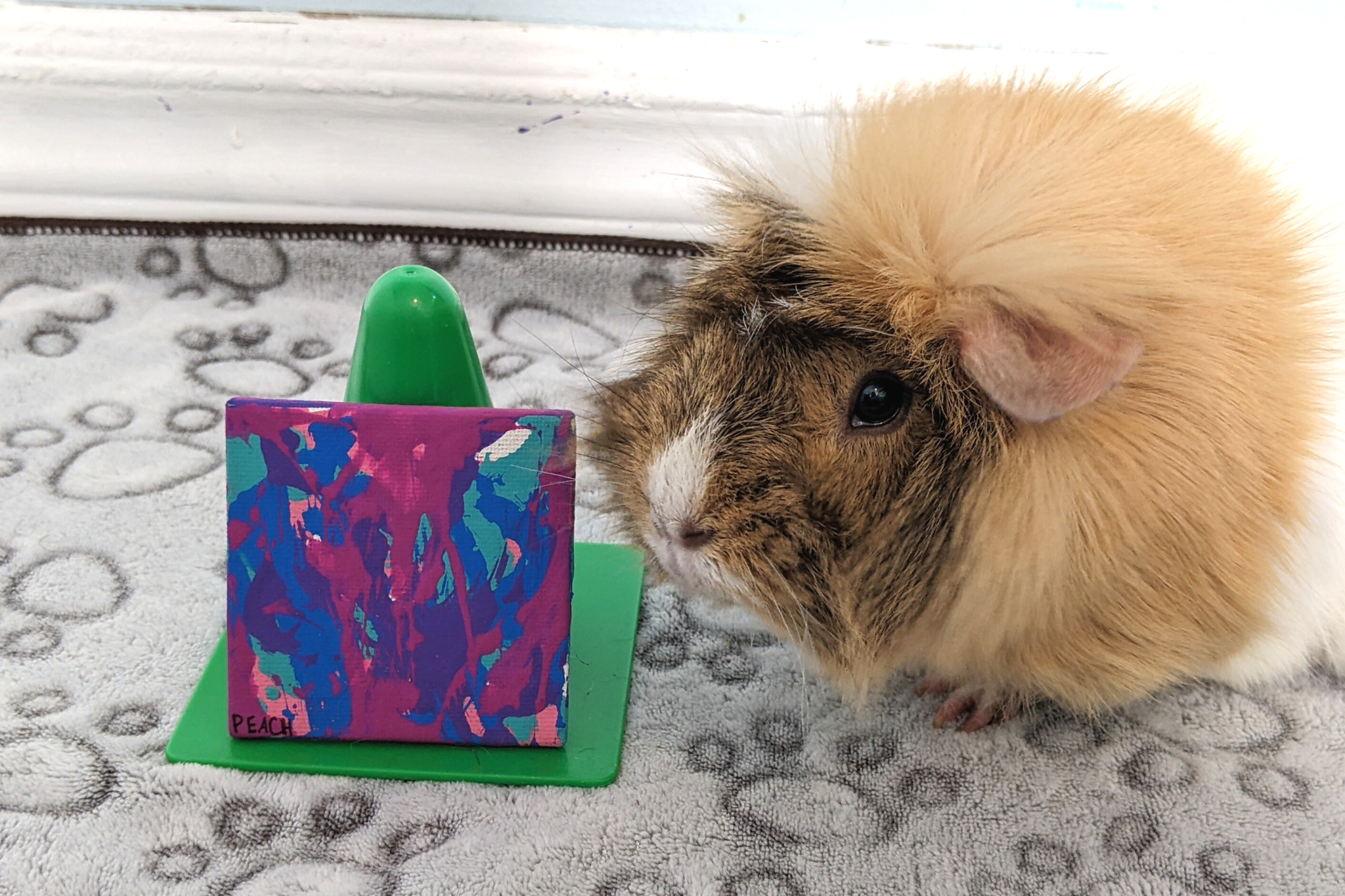 Mini 2x2" Colorful Guinea Pig Painting by Peach