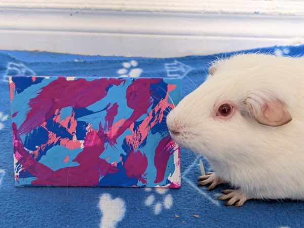 Custom Guinea Pig Painting Made to Order - Image 13