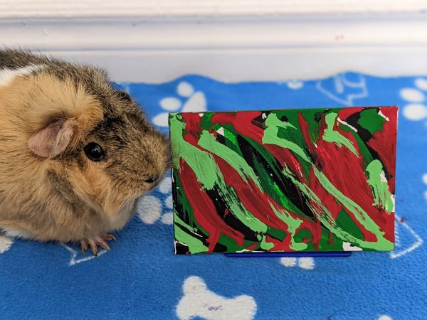 Custom Guinea Pig Painting Made to Order - Image 17