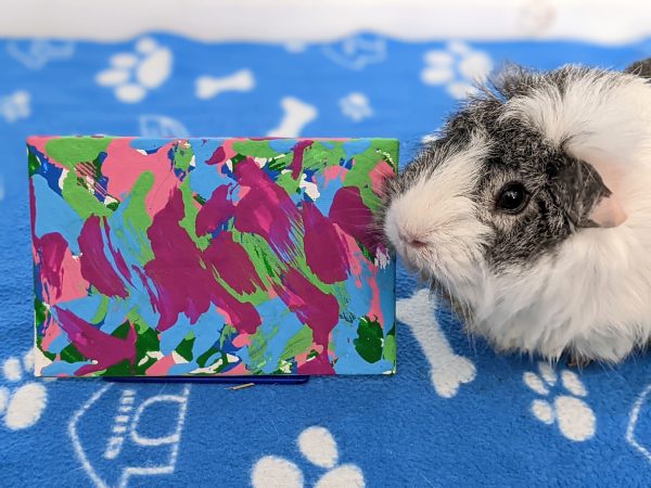Custom Guinea Pig Painting Made to Order - Image 7
