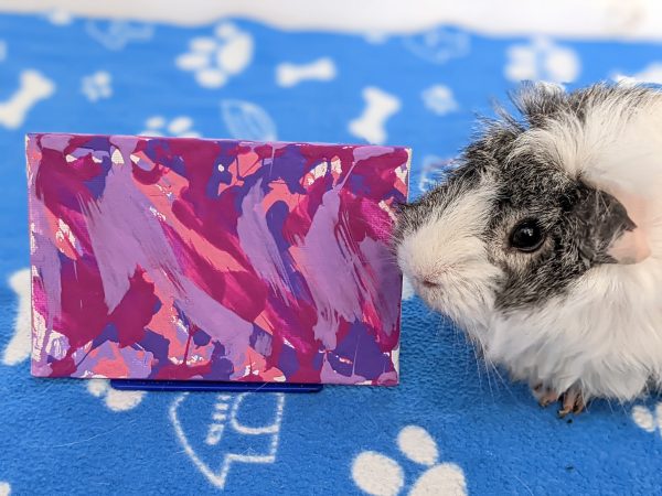 Custom Guinea Pig Painting Made to Order - Image 14
