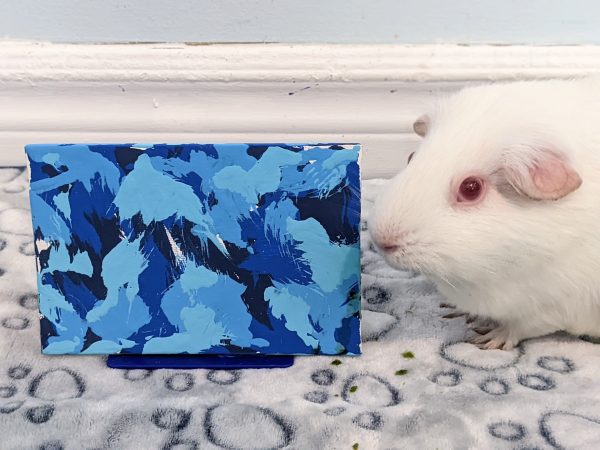 Custom Guinea Pig Painting Made to Order - Image 12