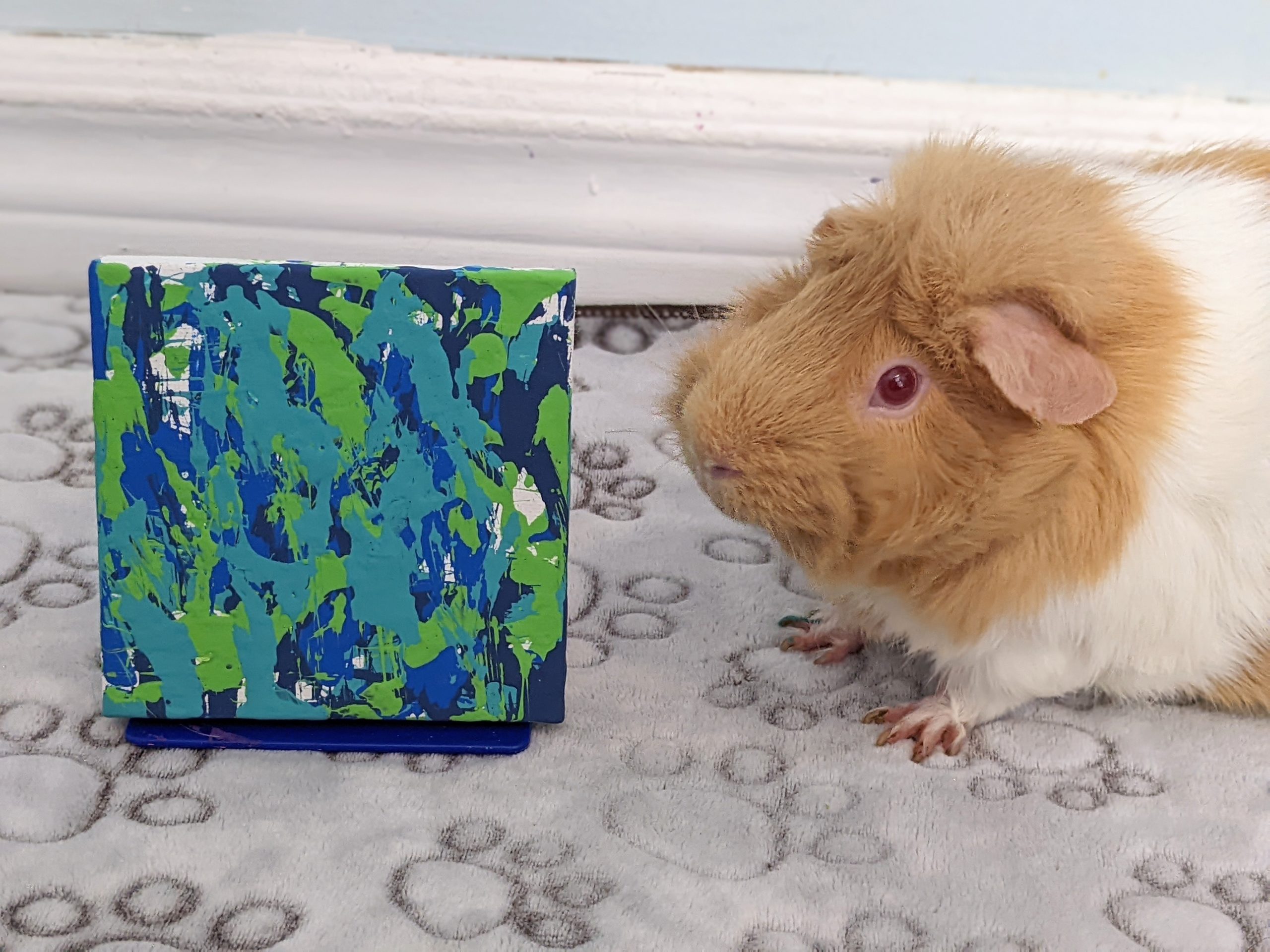 Ready to Ship 4x4 Blue, Navy, Teal, Green Guinea Pig Painting by Skittles
