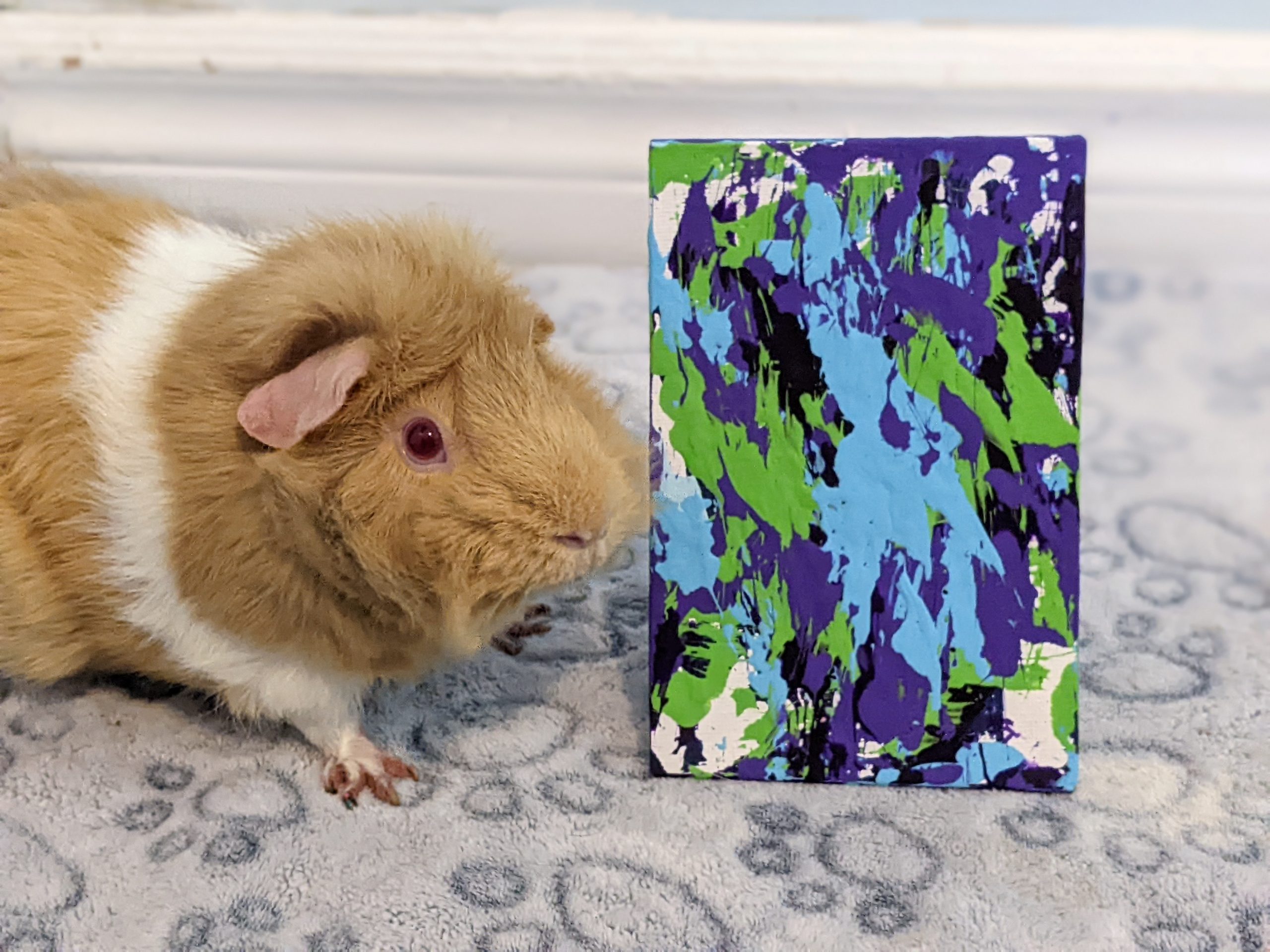 Ready to Ship 4x6 Green, Purple and Blue Guinea Pig Painting by Skittles