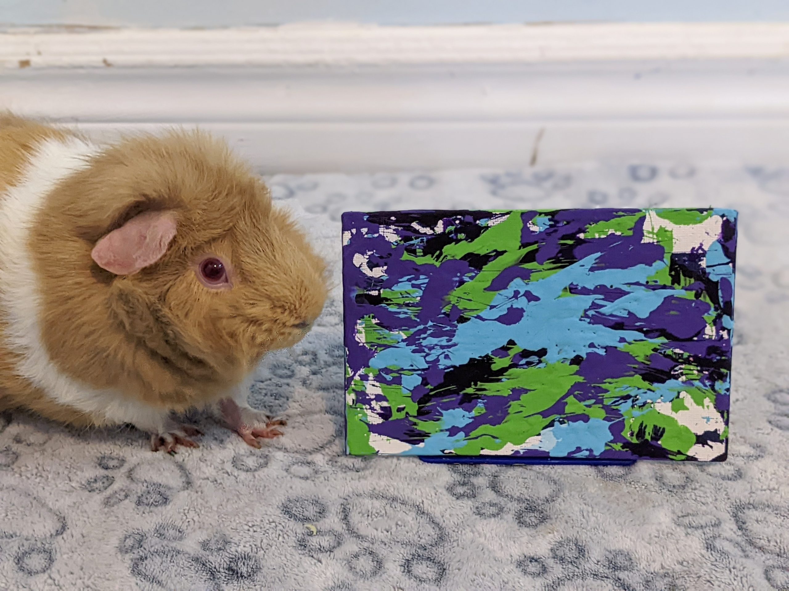 Ready to Ship 4x6 Green, Purple and Blue Guinea Pig Painting by Skittles - Image 2