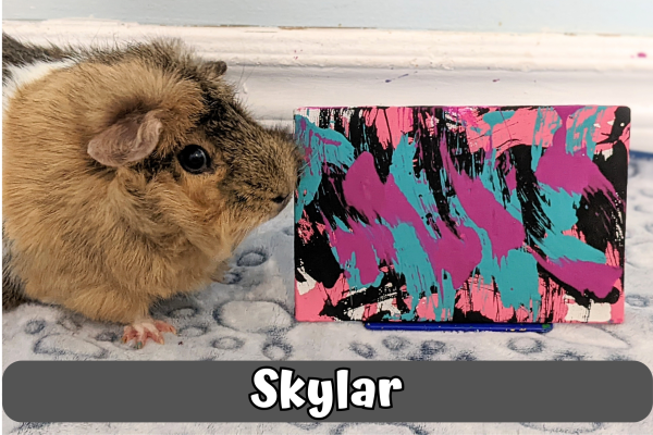 Custom Guinea Pig Painting Made to Order - Image 3