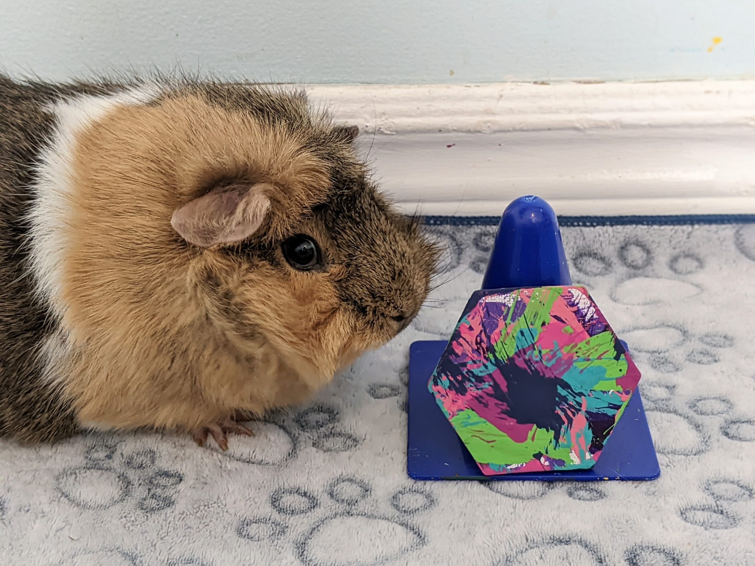 Ready to Ship Hexagon Magnet Painting by Skylar