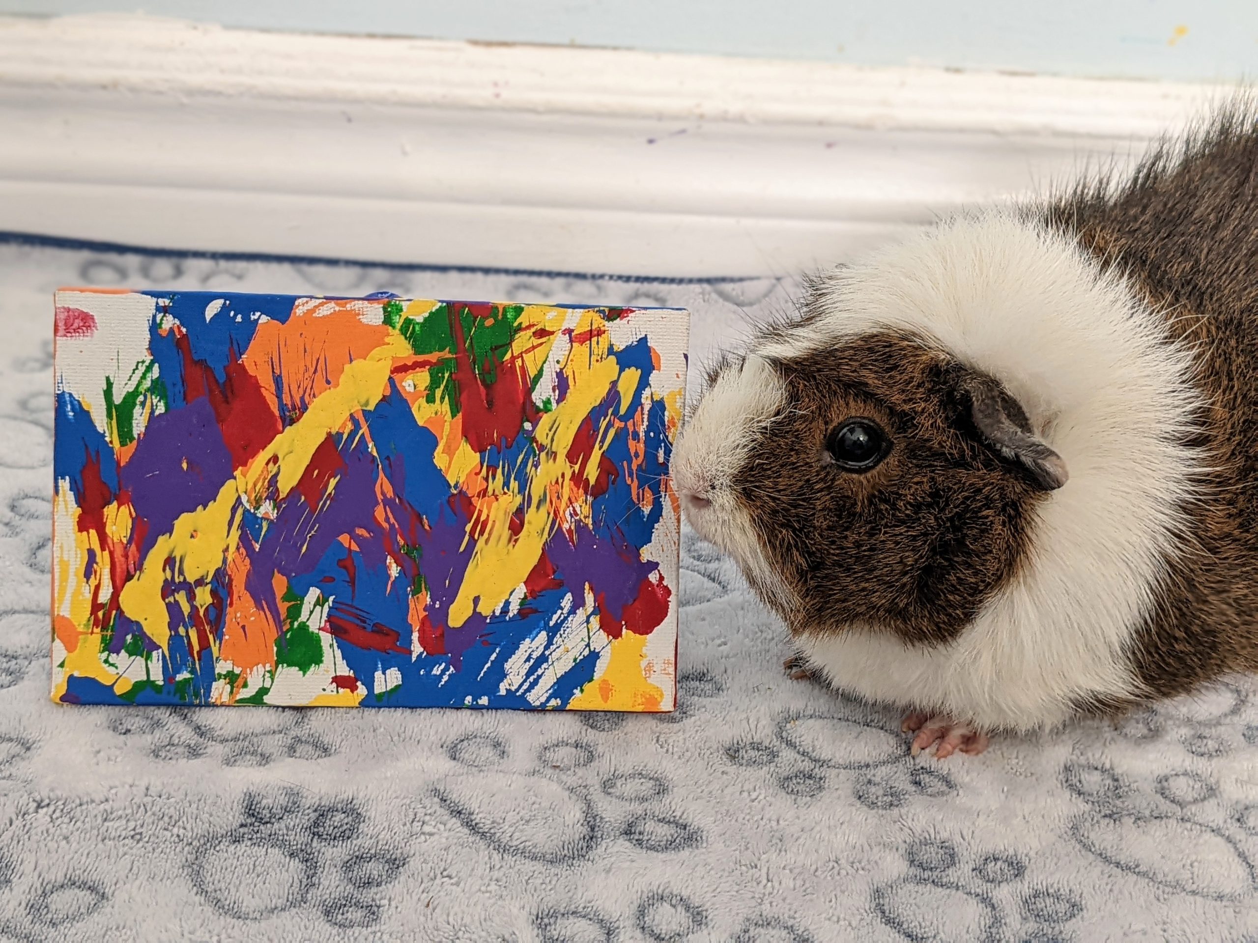 Ready to Ship 4x6 Rainbow Guinea Pig Painting by Callie