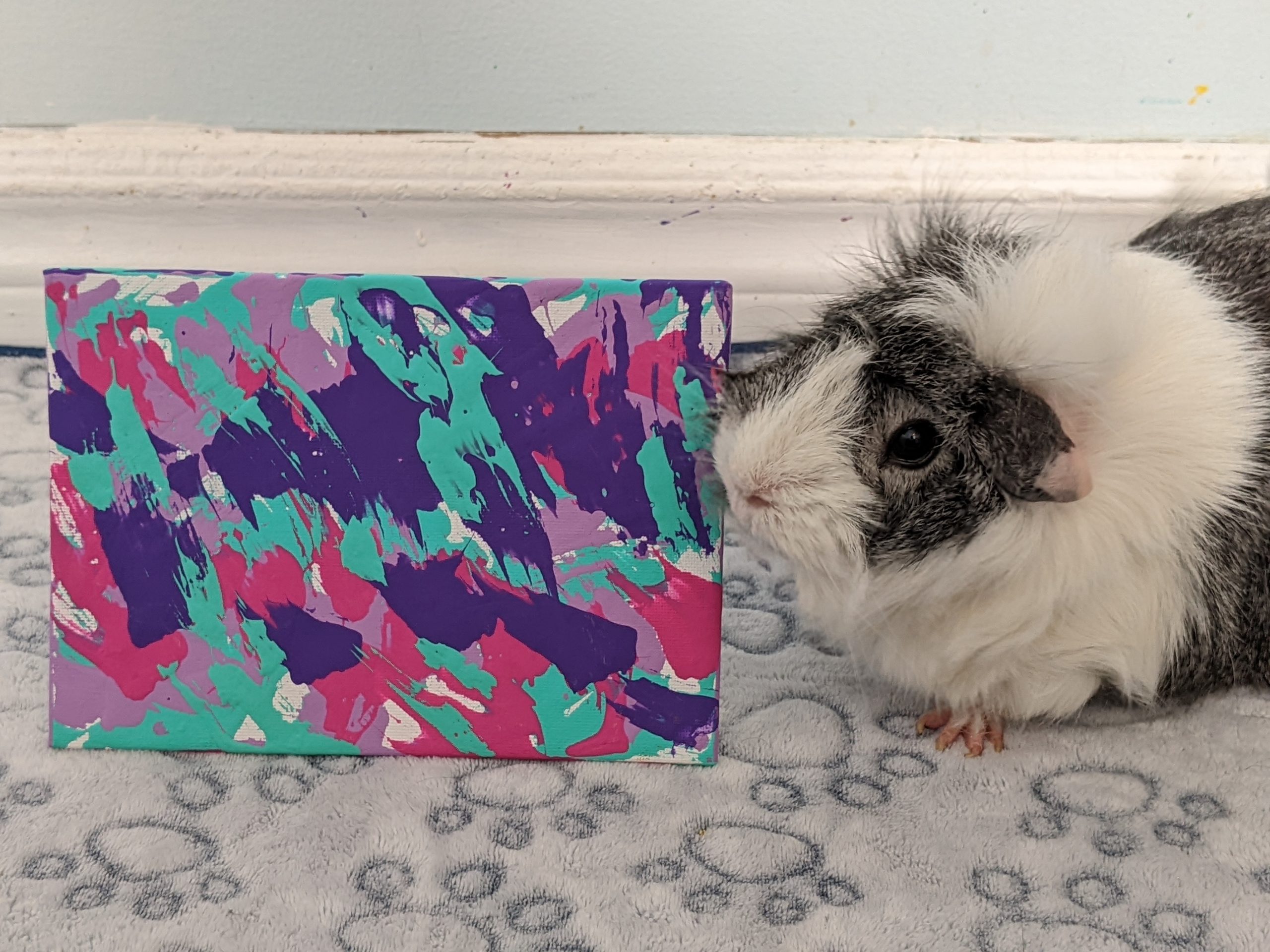Ready to Ship 5x7 Teal, Purple and Pink Guinea Pig Painting by Pansy