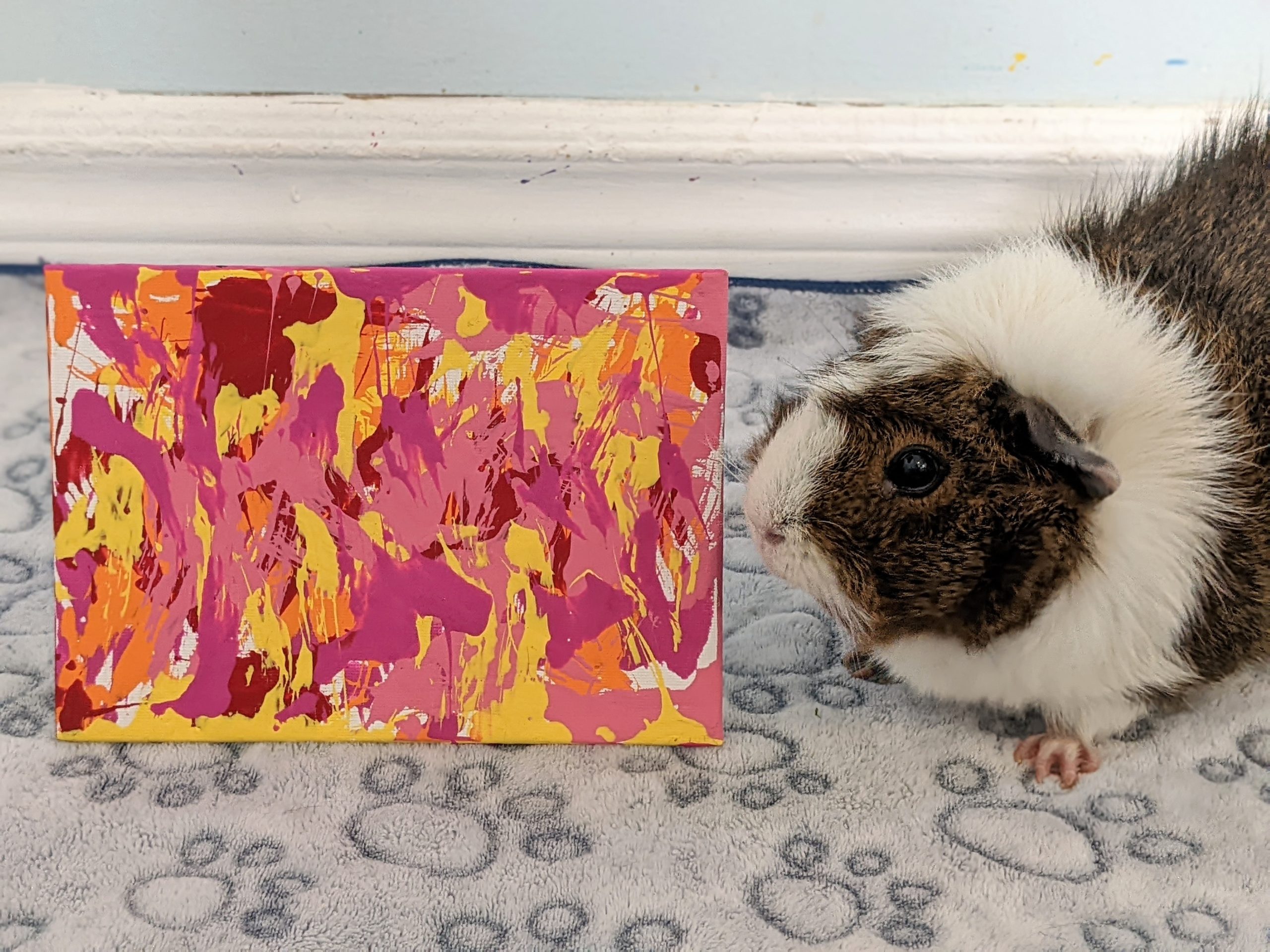 Ready to Ship 5x7 Guinea Pig Painting by Callie