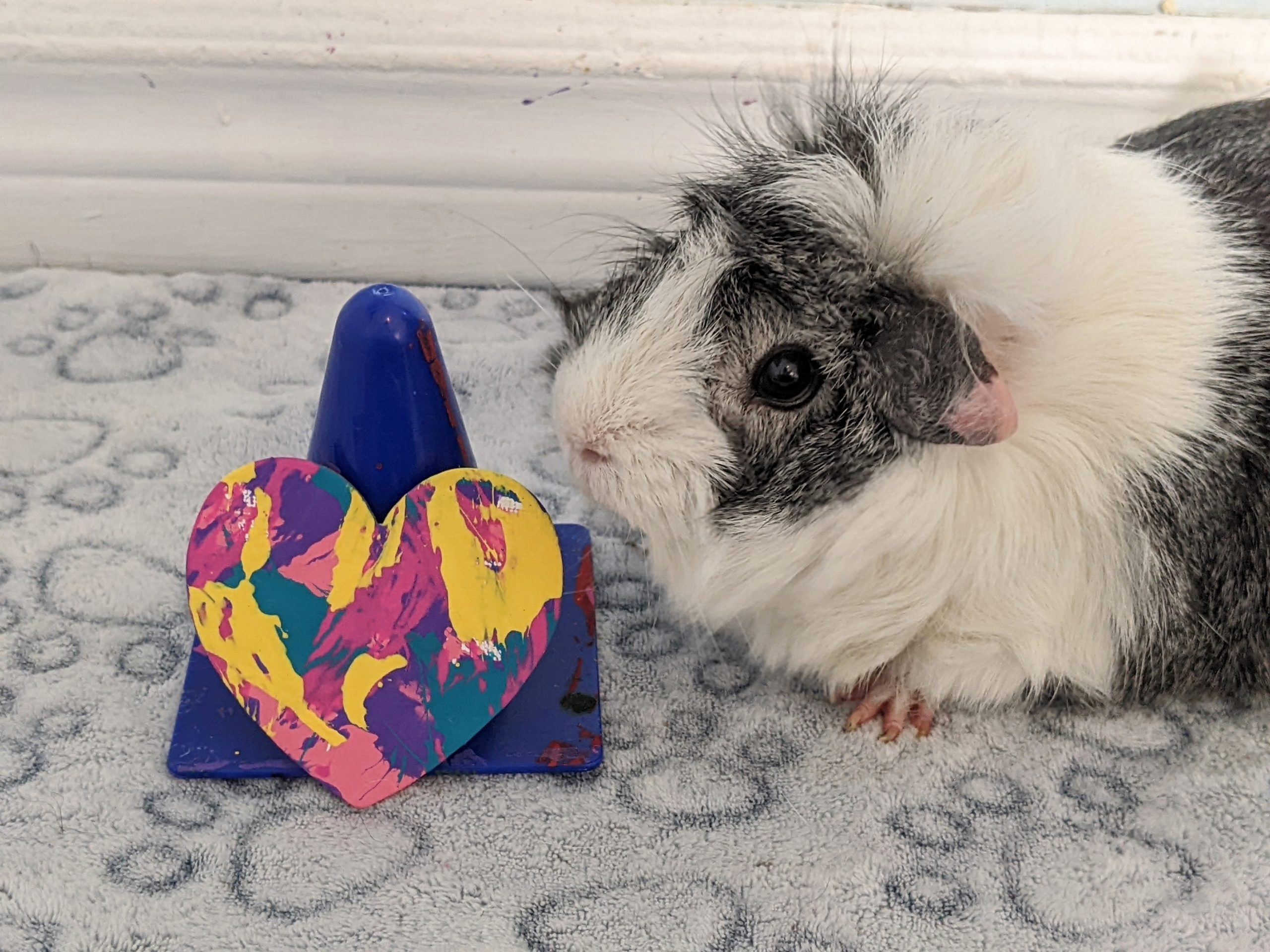 Ready to Ship Heart Magnet Painting by Pansy