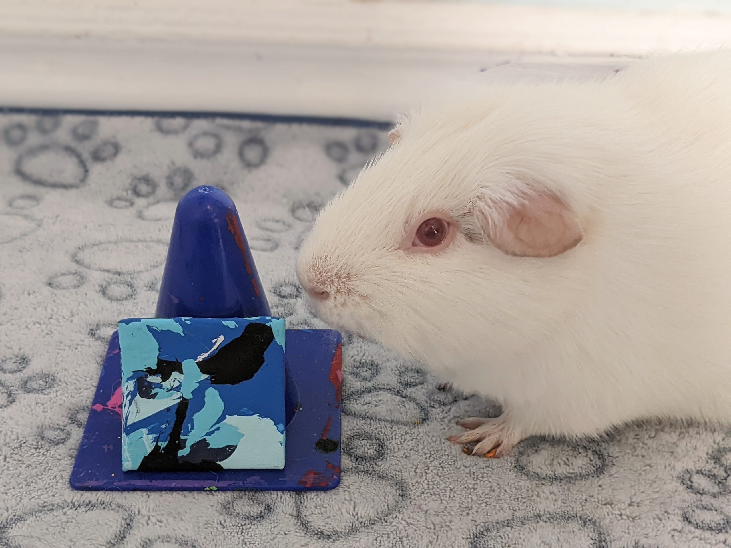 Ready to Ship Square Magnet Painting by Willow