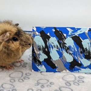 Ready to Ship 5x7 Blue, Black and Grey Guinea Pig Painting by Skylar