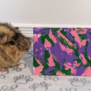 Ready to Ship 5x7 Pink, Purple, and Green Guinea Pig Painting by Skylar
