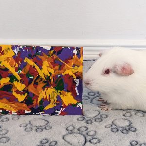 Ready to Ship 5x7 Rainbow Guinea Pig Painting by Willow