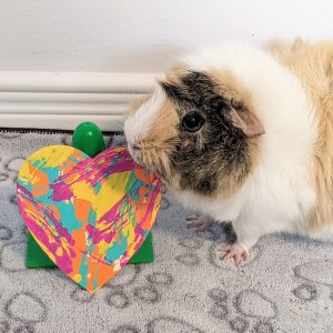 Ready to Ship Heart Magnet Painting by Nala