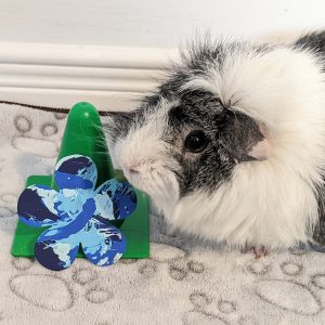 Ready to Ship Blue Flower Magnet Painting by Pansy