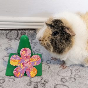 Ready to Ship Colorful Flower Magnet Painting by Nala