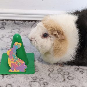 Ready to Ship Cute & Colorful Bunny Magnet Painted by Emmy